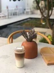 أشجار كافيه #2